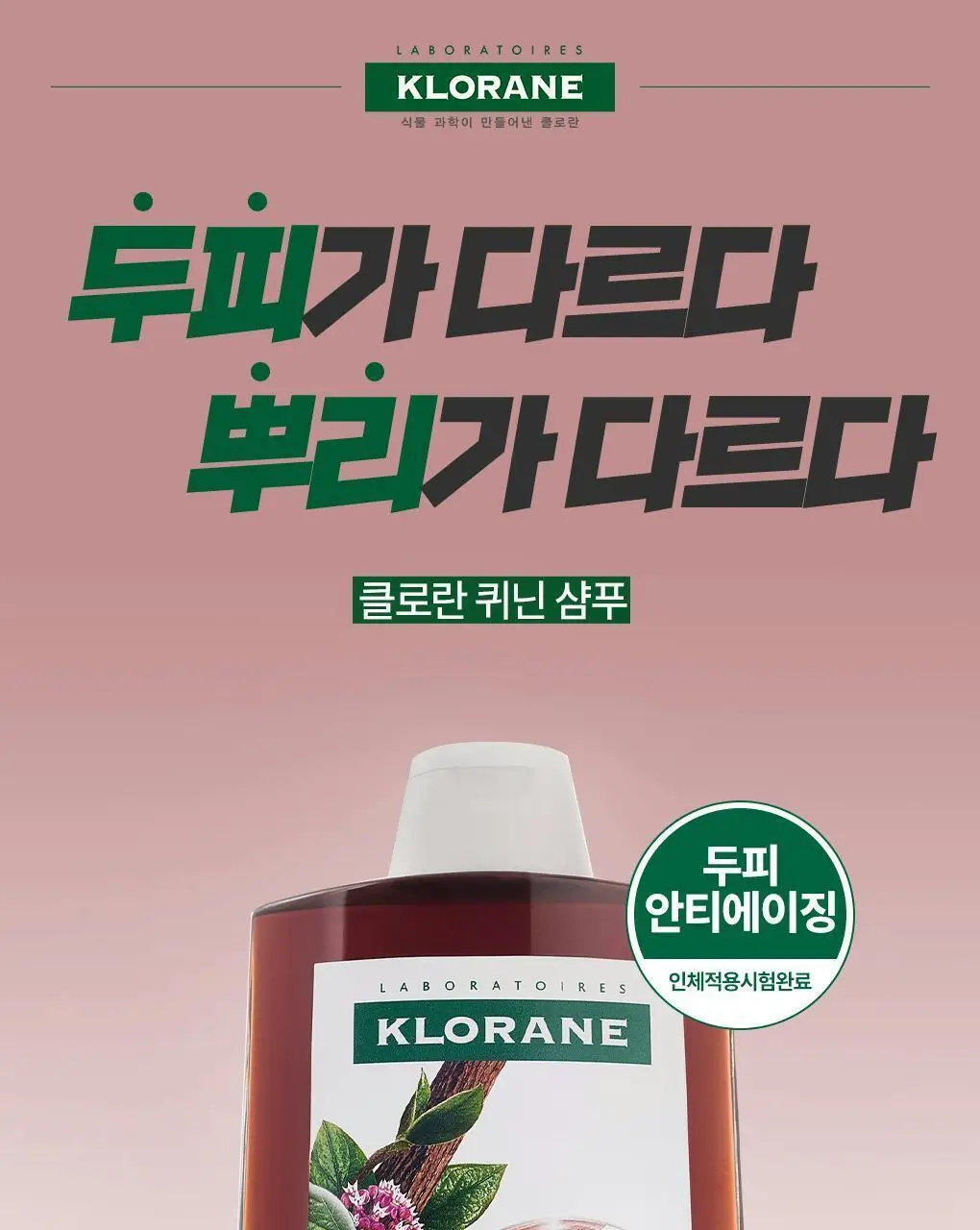 [두피활력 & 모발강화] 클로란 퀴닌 에델바이스 샴푸 더블 기획 (400ml 2입기획) 상세페이지 3